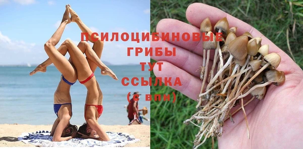 герыч Алзамай