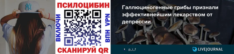 Псилоцибиновые грибы мицелий Жиздра
